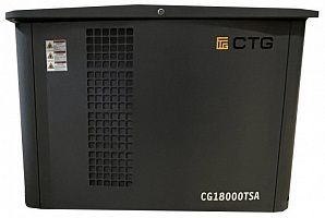 Газовый генератор CTG CG18000TSA с АВР ДизельЭнергоРесурс