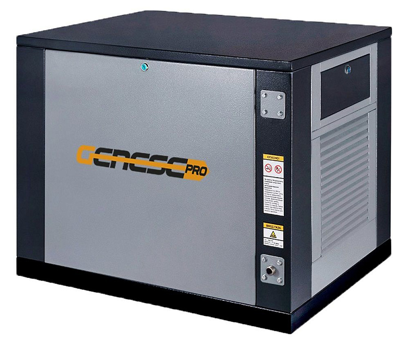 Газовый генератор Genese Pro 8500 Neva в кожухе с АВР ДизельЭнергоРесурс Газовый генератор Genese Pro 8500 Neva в кожухе с АВР ДизельЭнергоРесурс